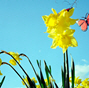Spring Resources - Toms River